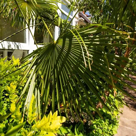 דירה 1 Bedroom In